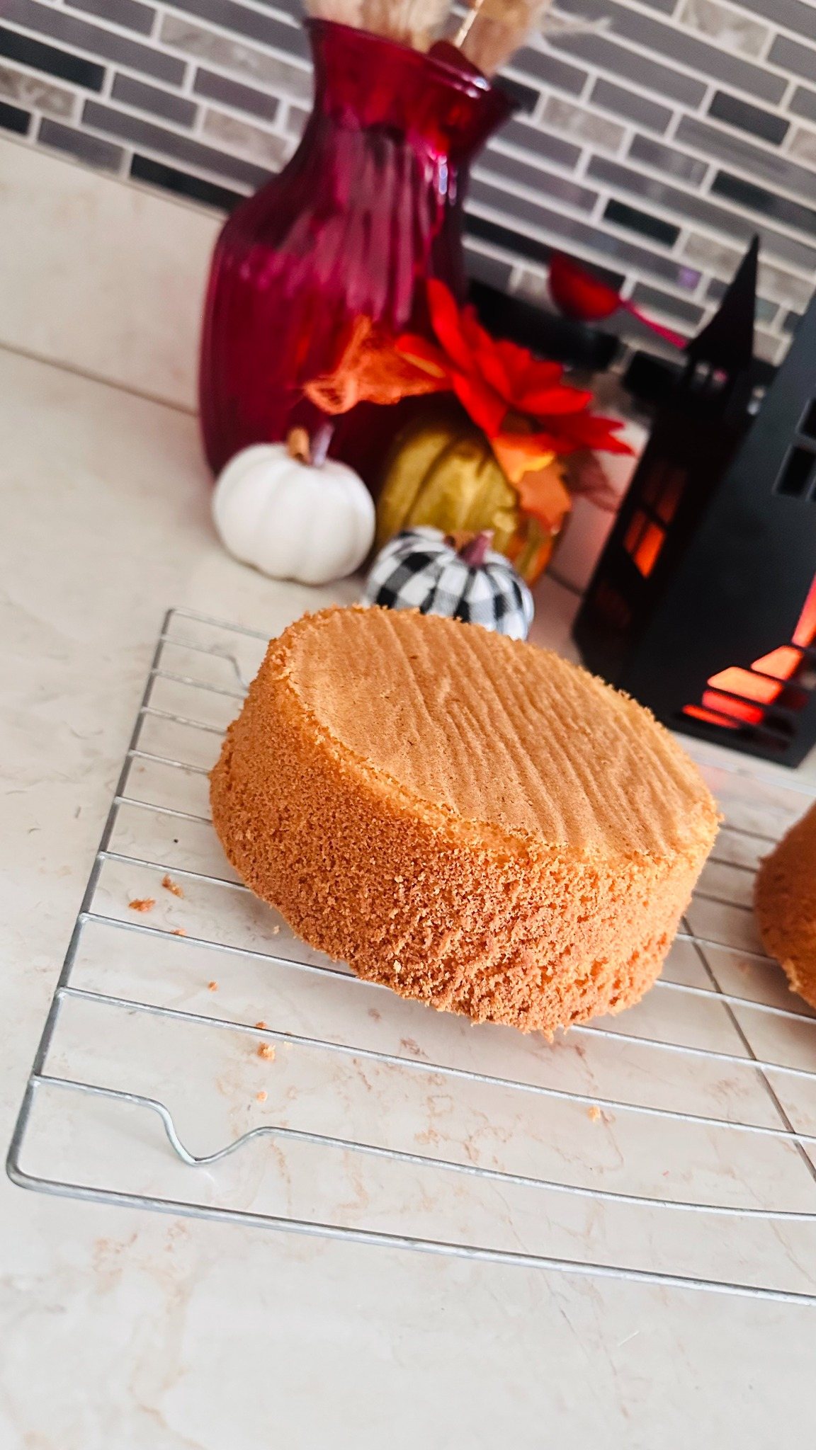 Freshly baked vanilla sponge cake layer